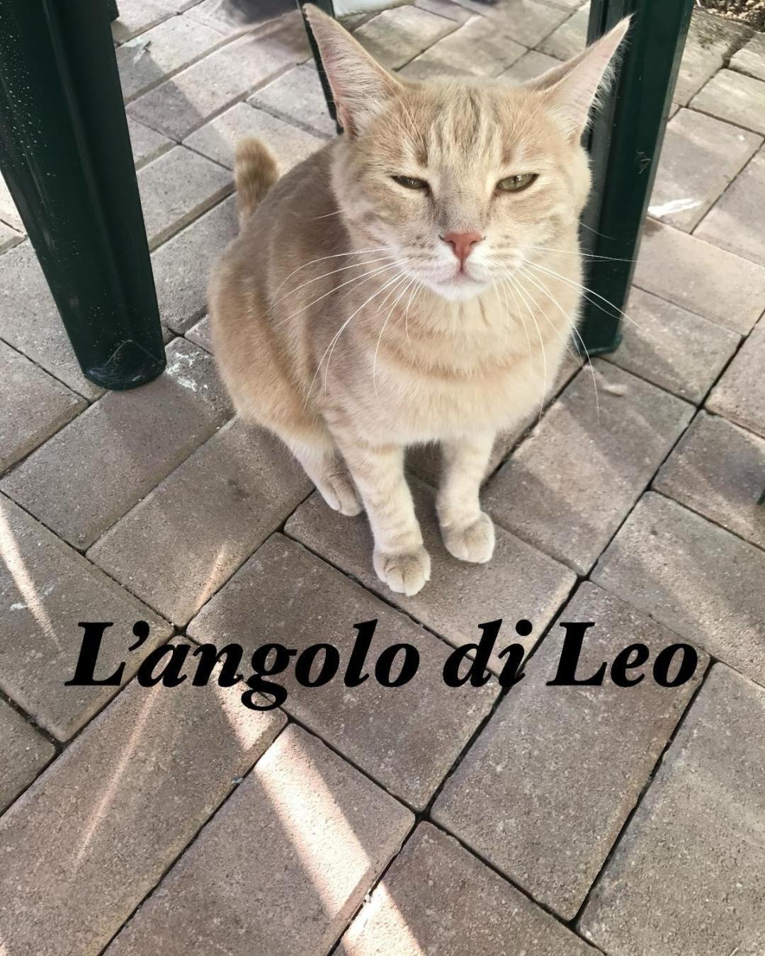 L'Angolo Di Leo Borgofranco d'Ivrea Dış mekan fotoğraf
